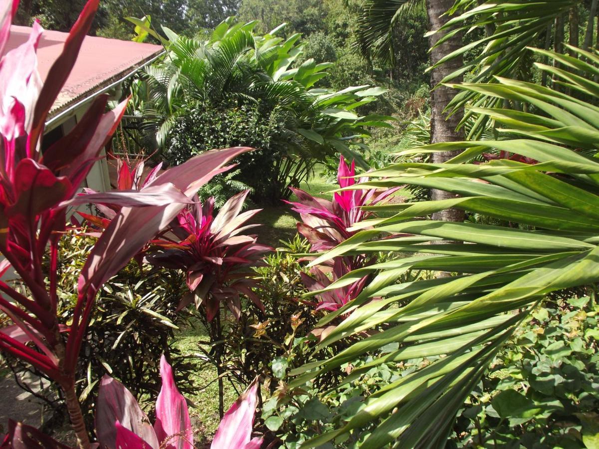 Villa Les Jardins de l'Espérance Bouillante Exterior foto